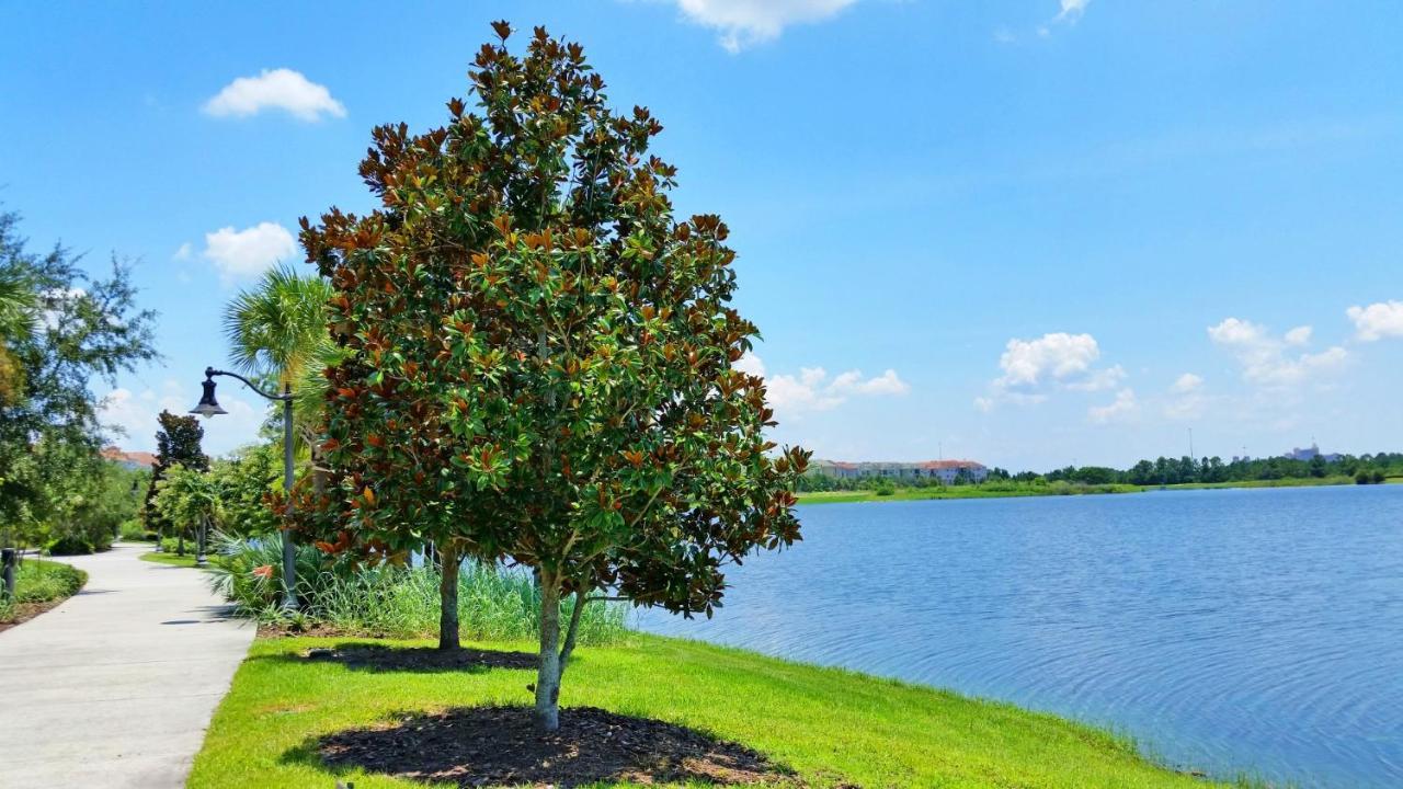 Willa 4804 Cayview Ave #105 Orlando Zewnętrze zdjęcie